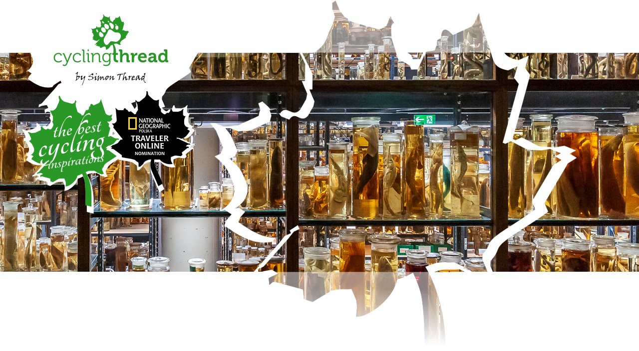 Natural History Museum in Berlin - Wet Collection