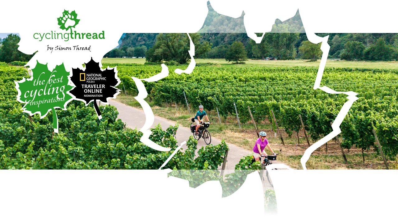 Vineyards along the&nbsp;Moselle Cycle Route