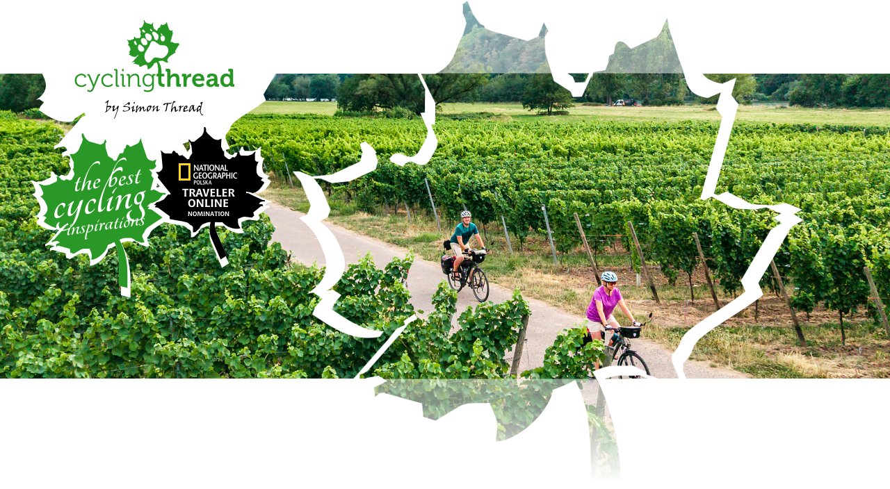 Vineyards along the&nbsp;Moselle Cycle Route