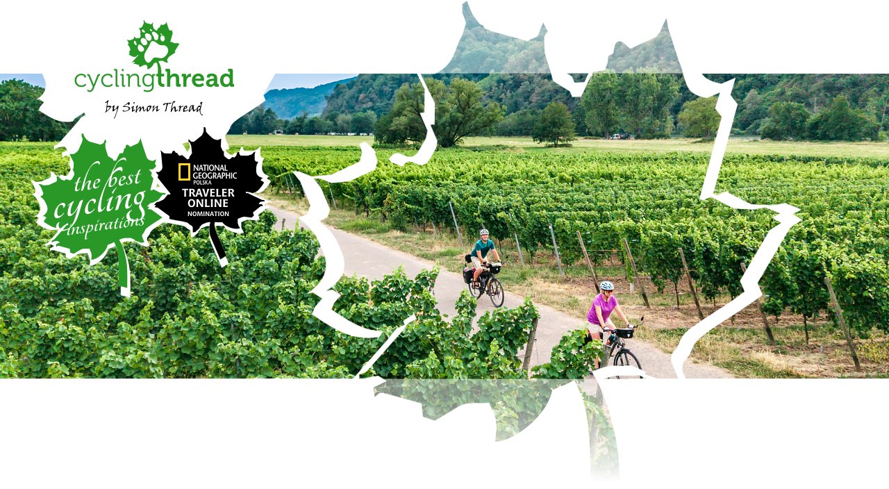 Vineyards along the&nbsp;Moselle Cycle Route