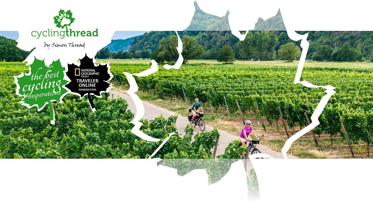 Vineyards along the&nbsp;Moselle Cycle Route