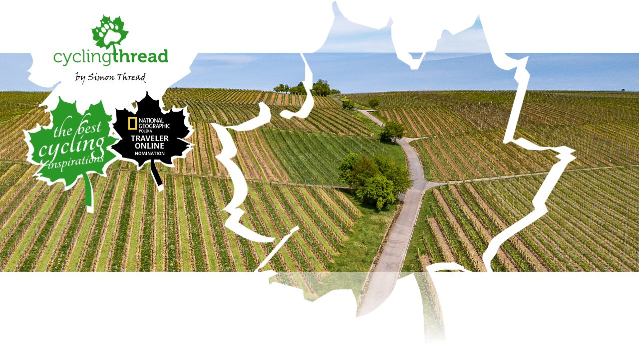 Vineyards near Volkach in Franconia