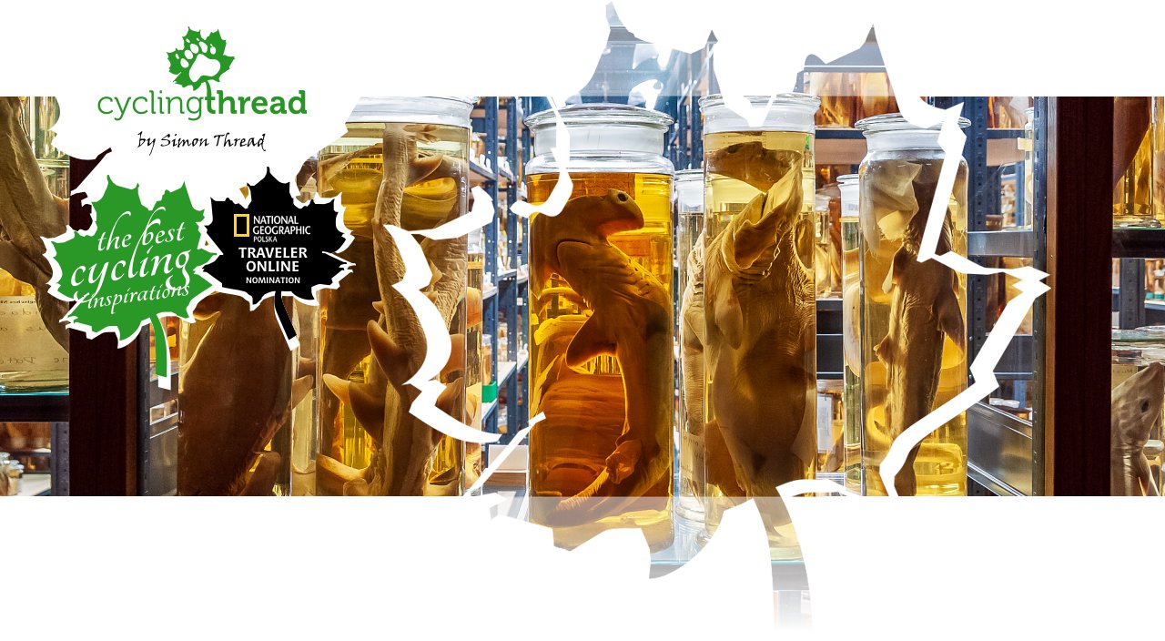 The&nbsp;Wet Collection in&nbsp;the&nbsp;Natural History Museum