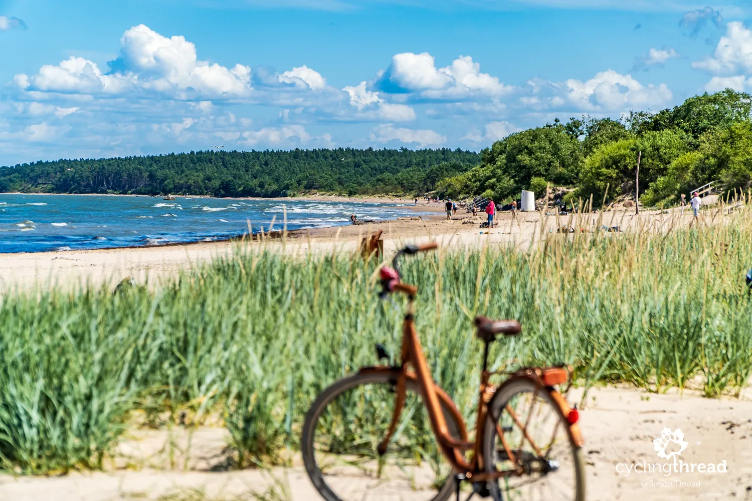 A beach on the Latvian Baltic coast