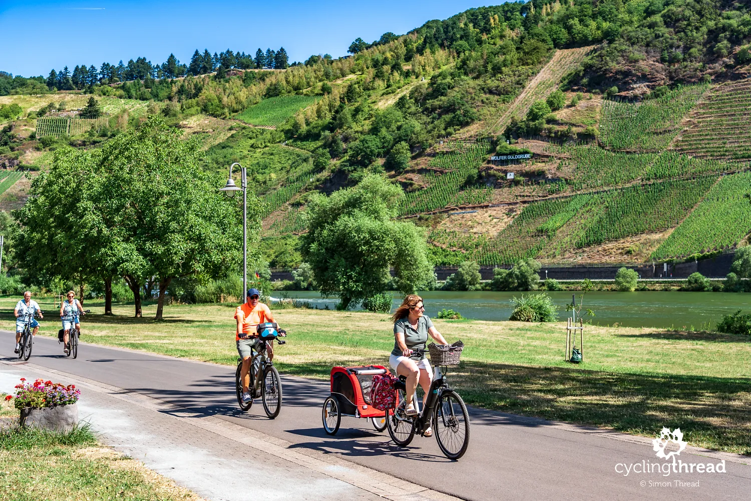Bicycle with a trailer in Piesport