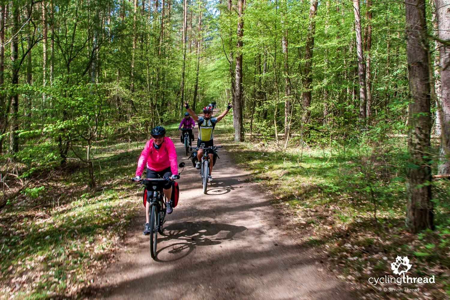 Bike path in Müritz National Park
