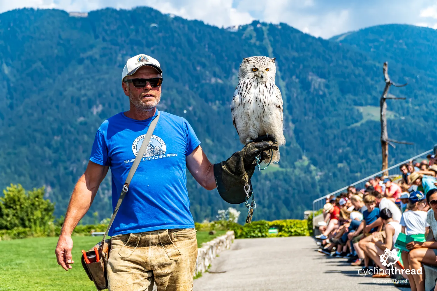 Bird show host at Landskron Castle