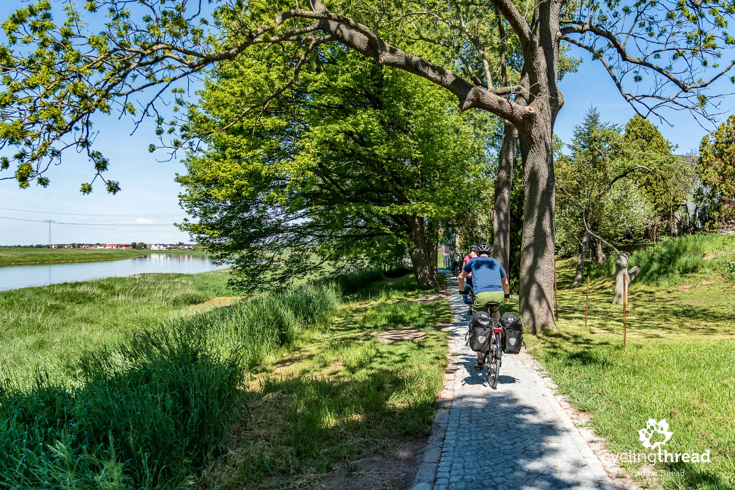 Cobblestones on the Elbe Cycle Route