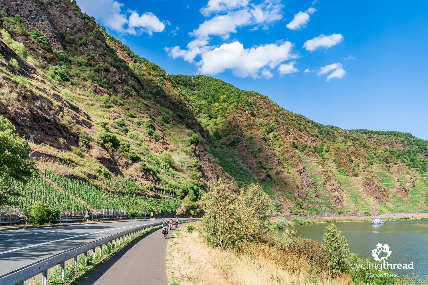 Cycle path below the Calmont vineyard in Bremm