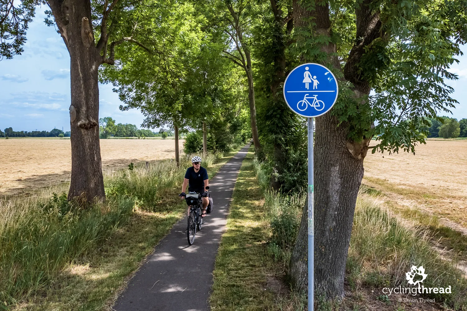Cycle path near Peitz in Brandenburg