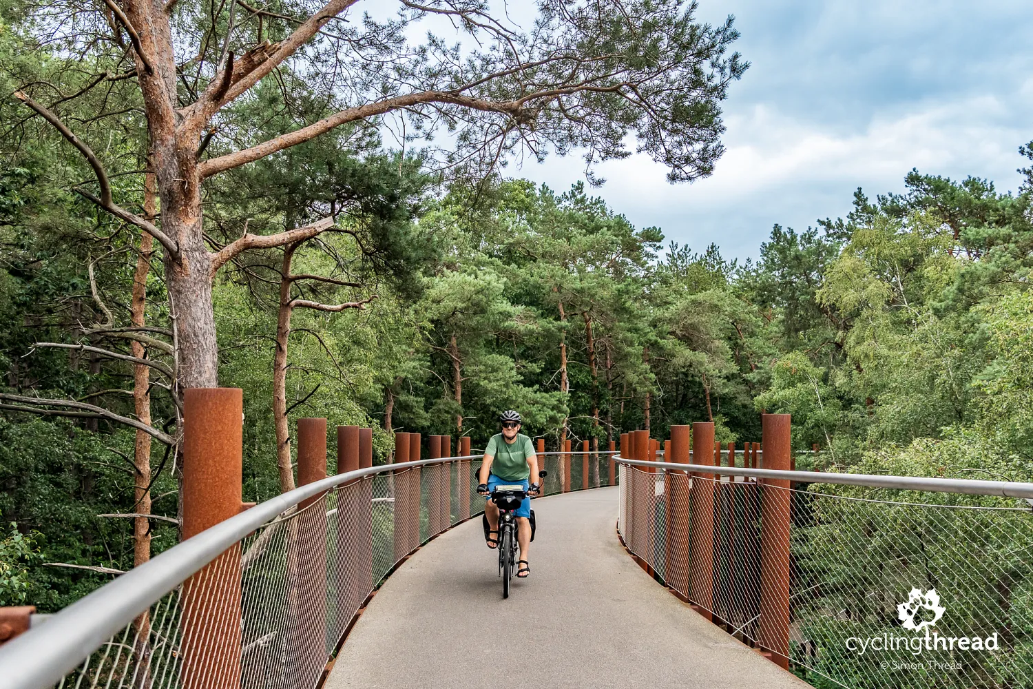 Cycling infrastructure in the trees in Belgium