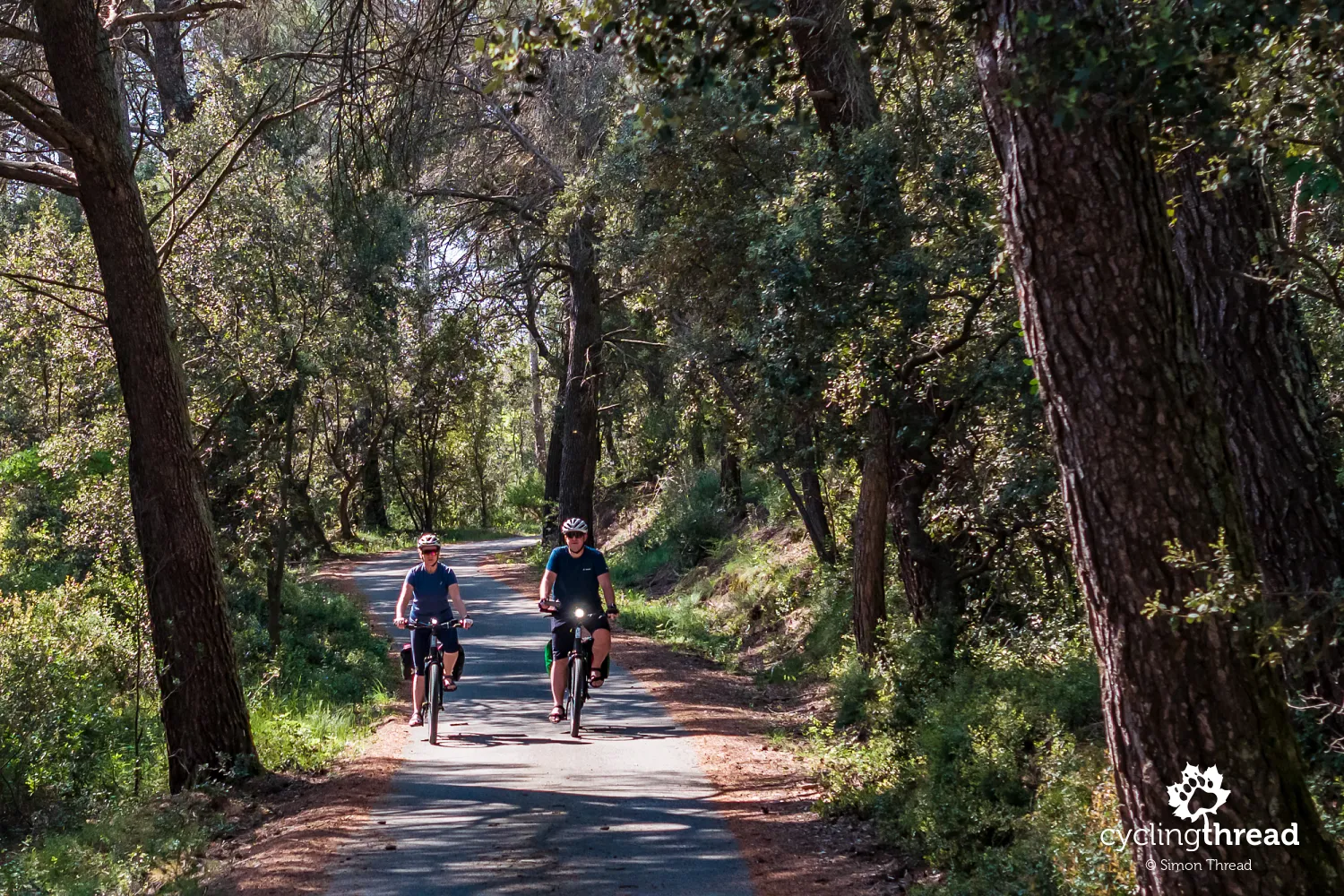 Cycling route through a Mediterranean forest