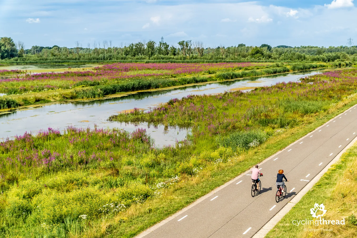 Cycling through De Biesbosch National Park