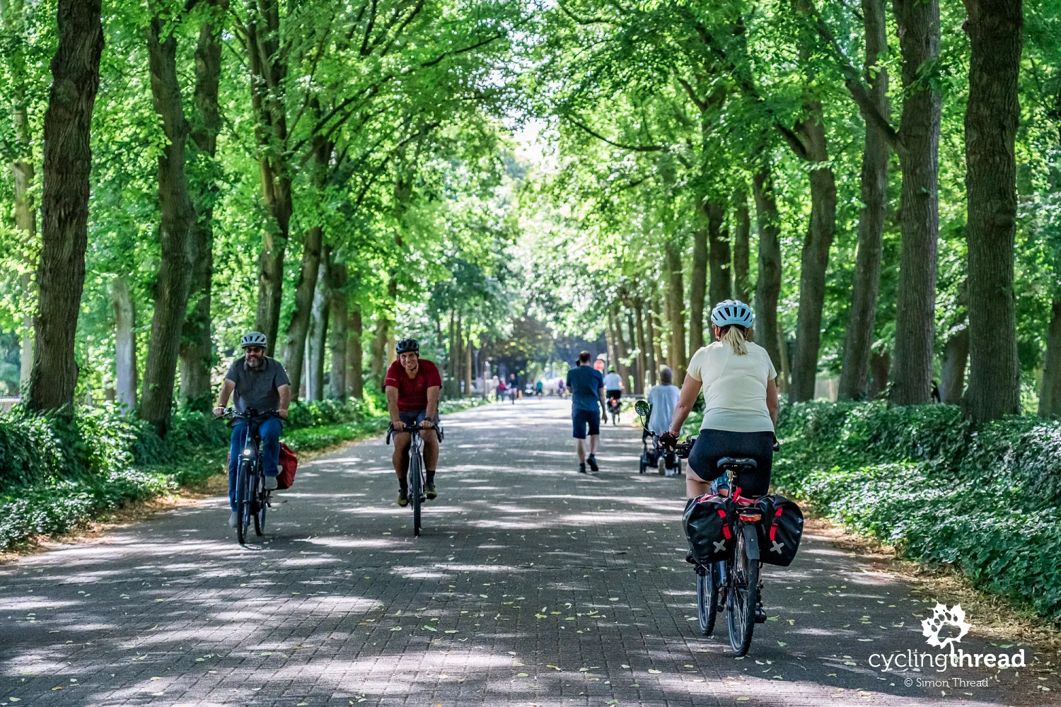 Cycling through Rivierenhof park in Antwerp