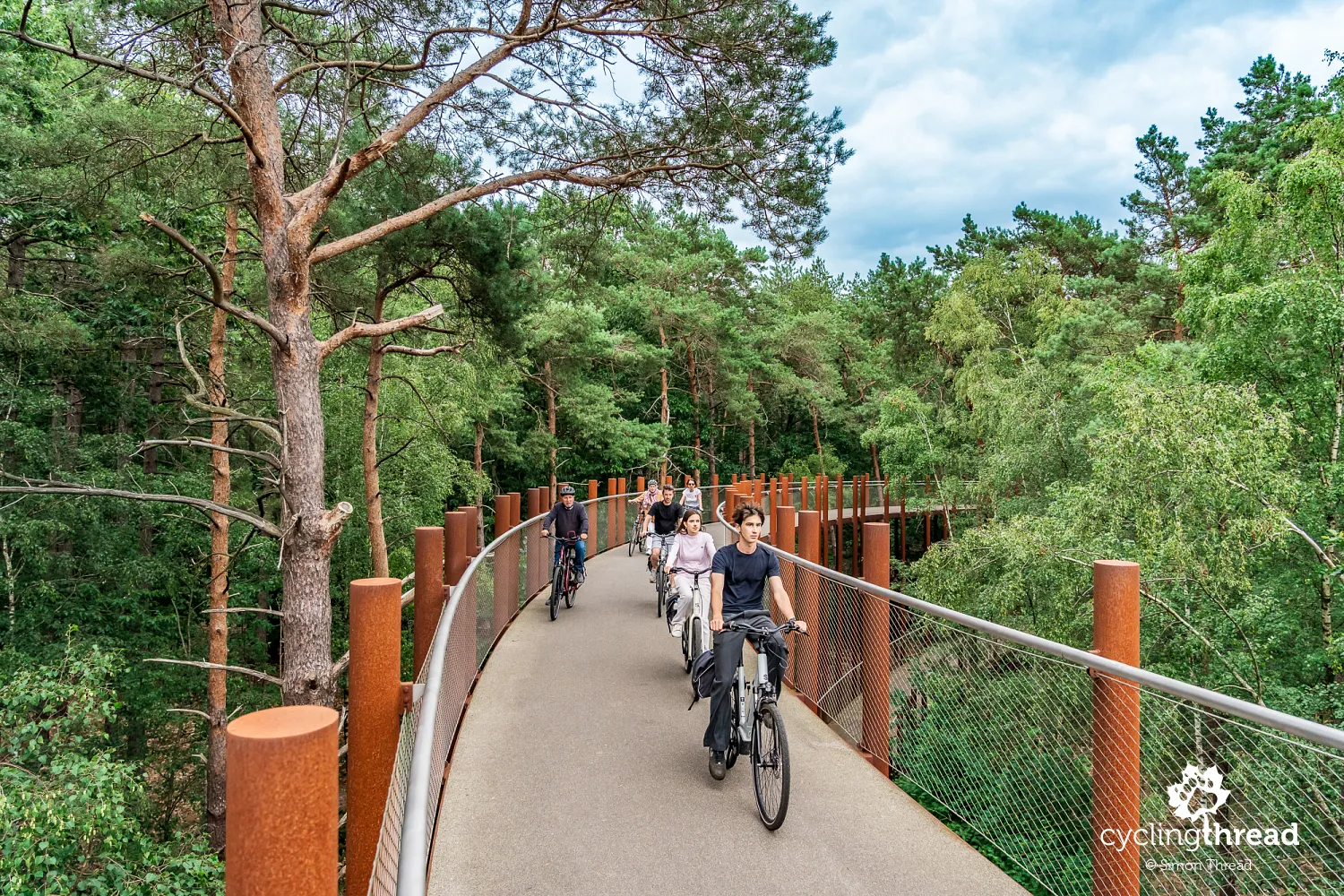 Cycling through the Trees near Lommel