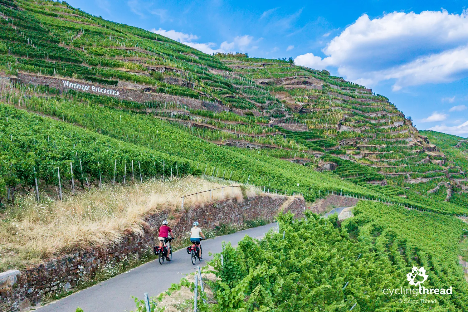 Cycling through the vineyards near Koblenz