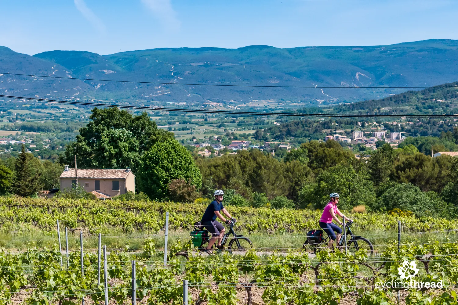 Cycling through the vineyards of the Luberon