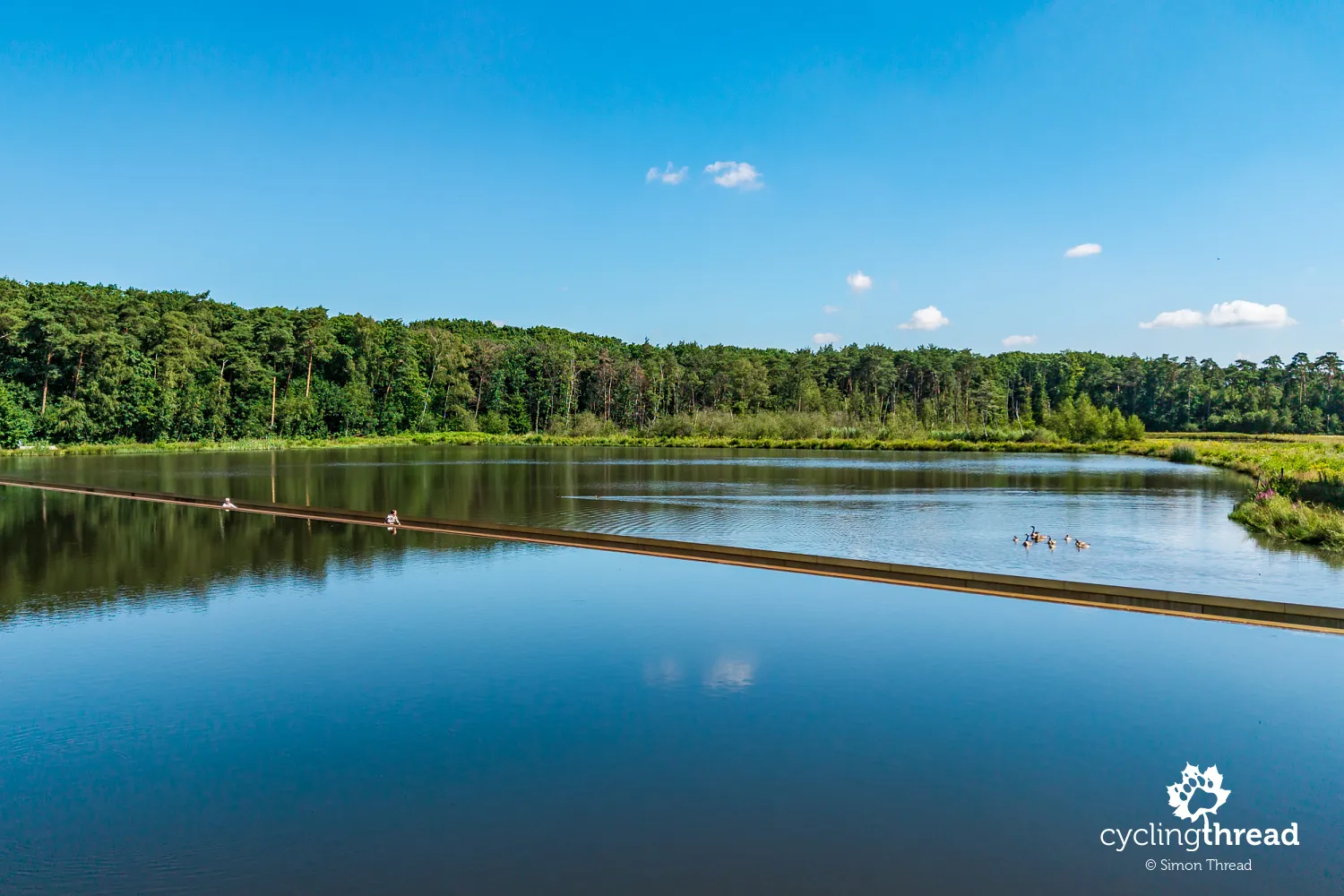 Cycling through Water at Bokrijk