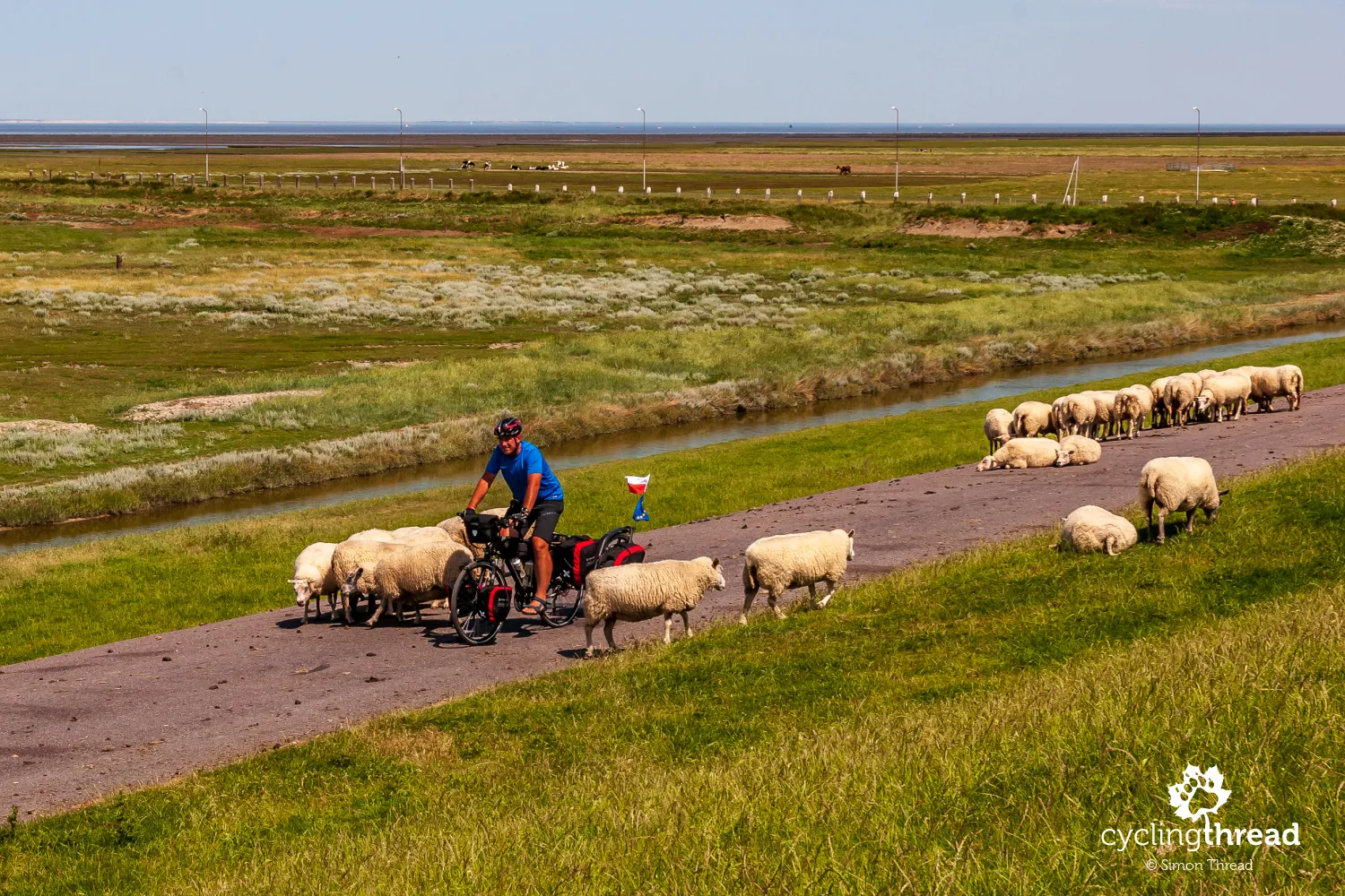 Cycling tourism in the Netherlands