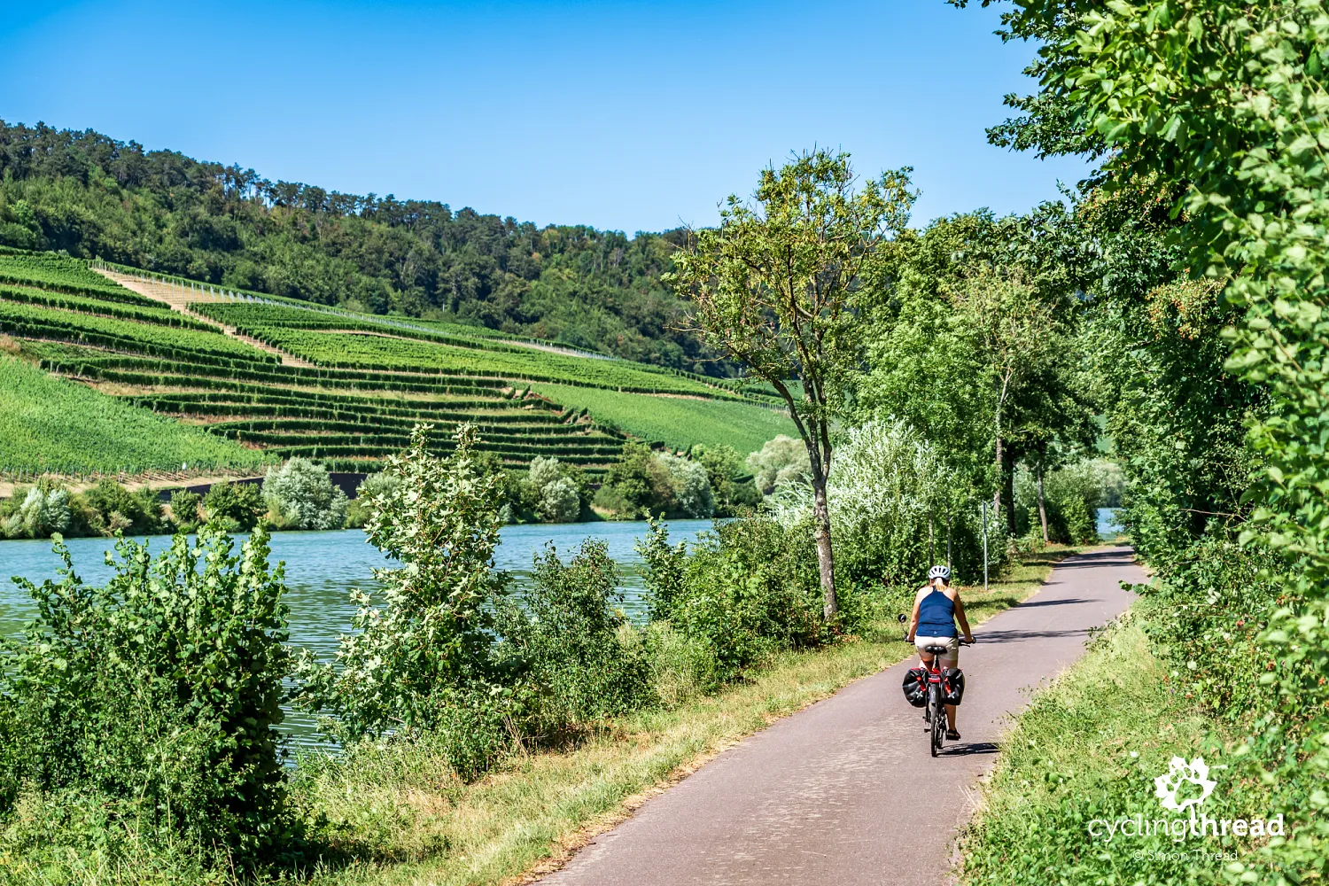 The first vineyards along the Moselle