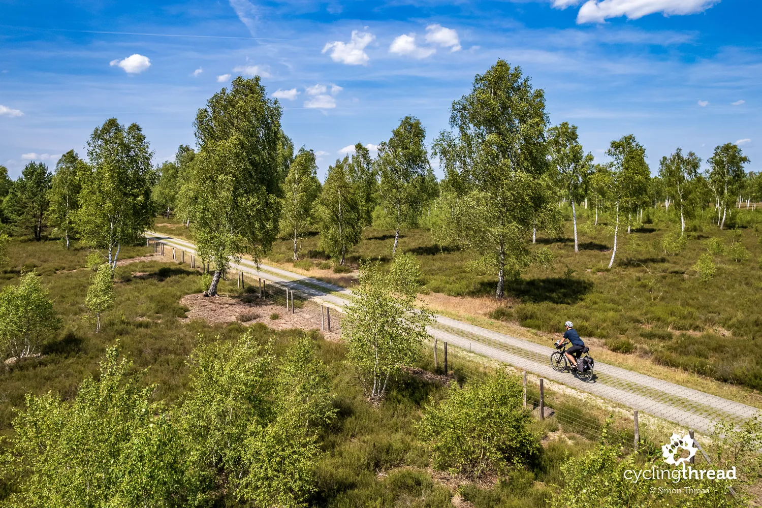 Forests and heathlands of Lieberoser Heide in Brandenburg
