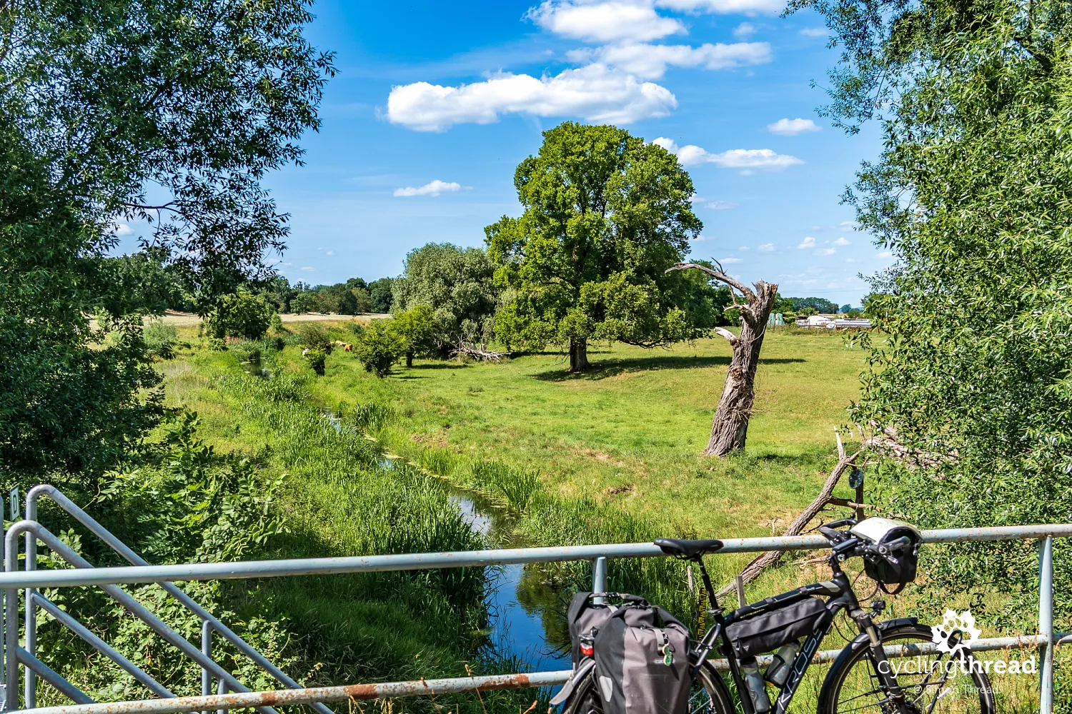 Former Oder riverbed near Wriezen