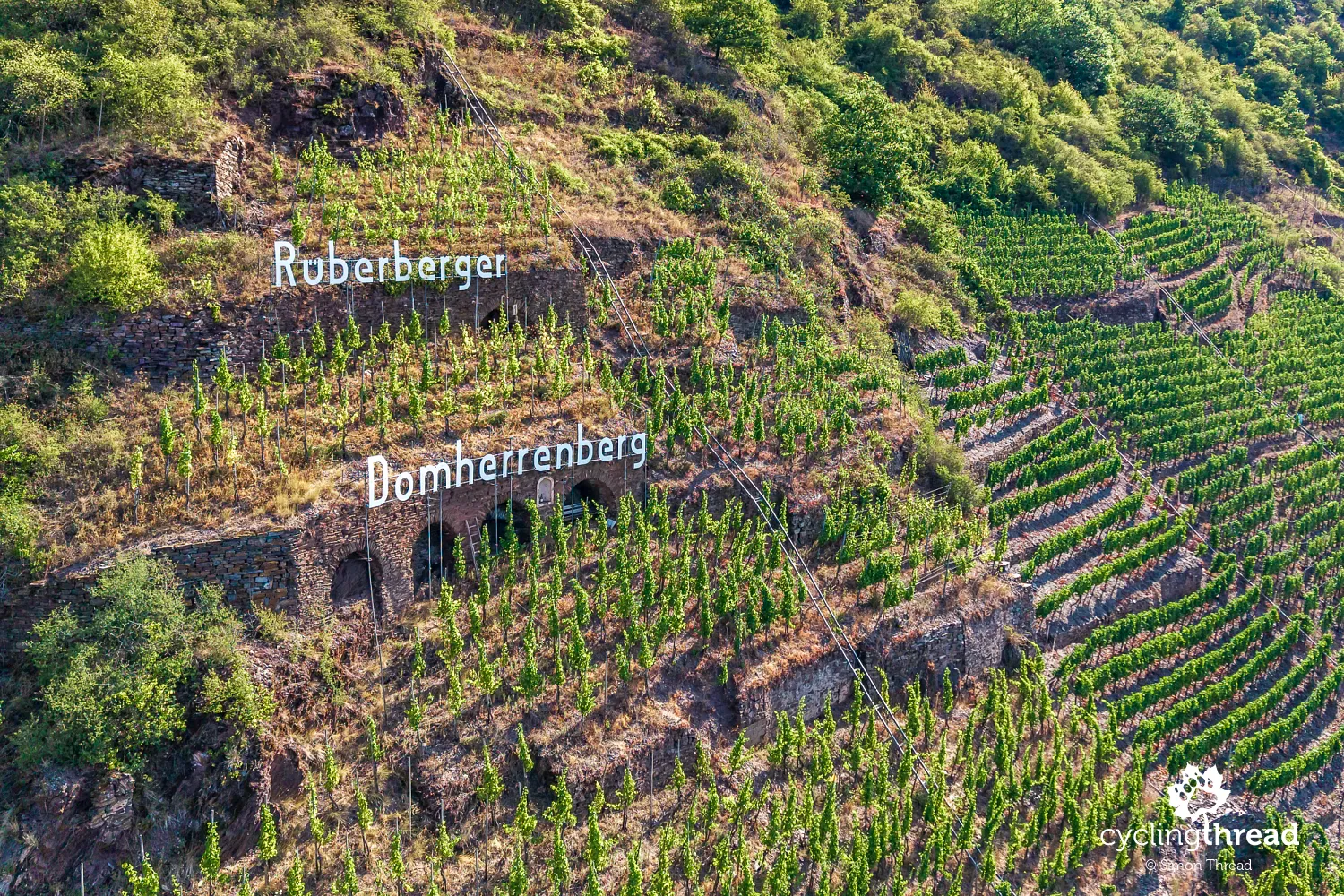 Huge vineyard signs on the slopes
