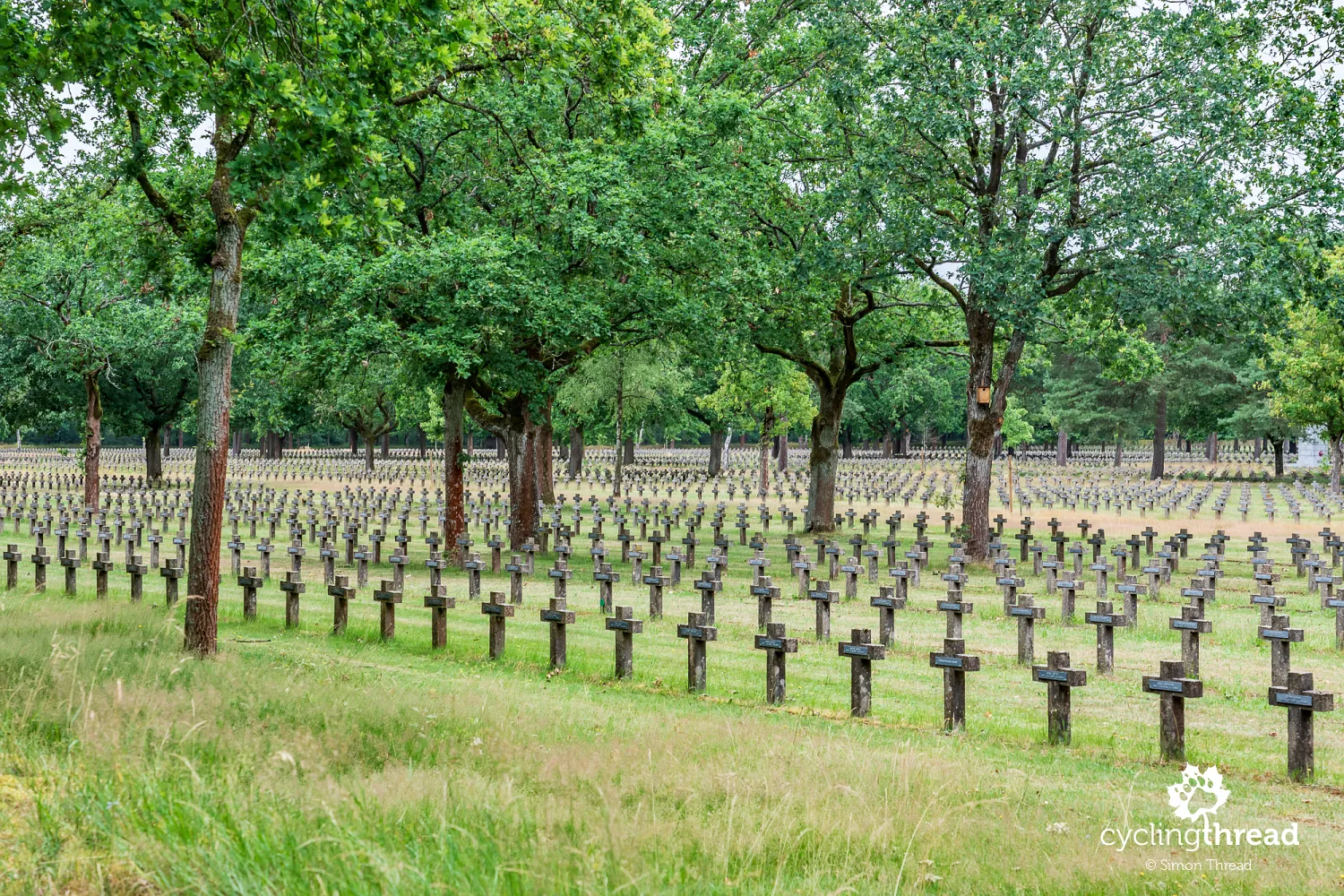 The largest German military cemetery in Europe