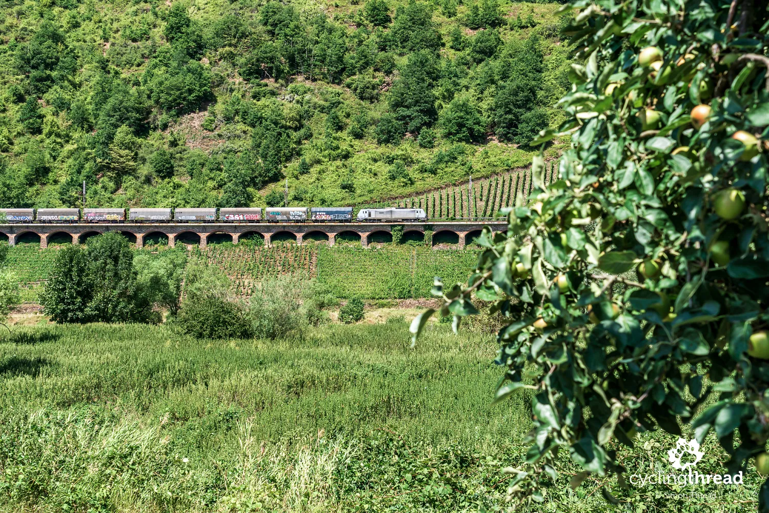 The long railway viaduct near Pünderich