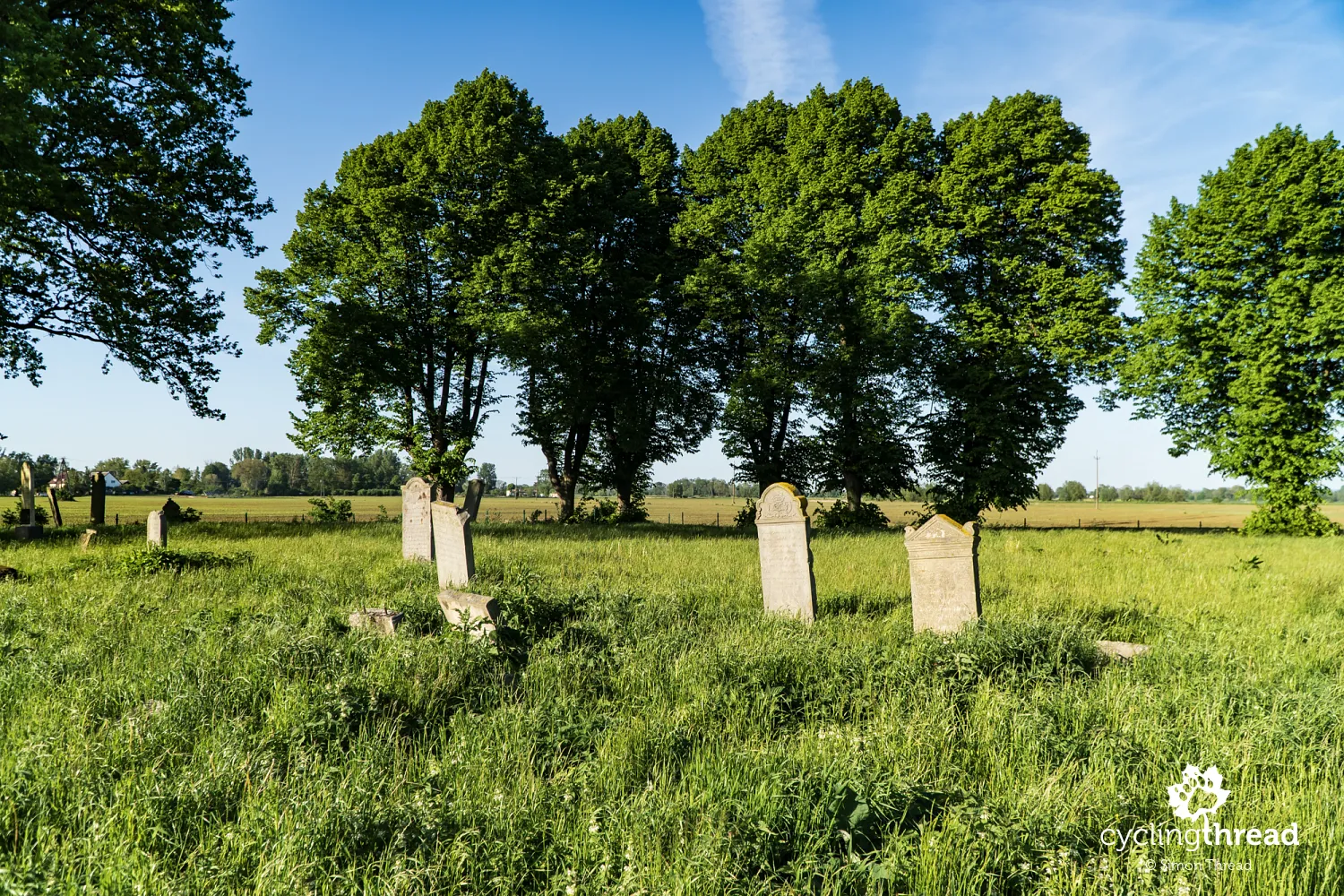 Mennonite cemetery in Różewo