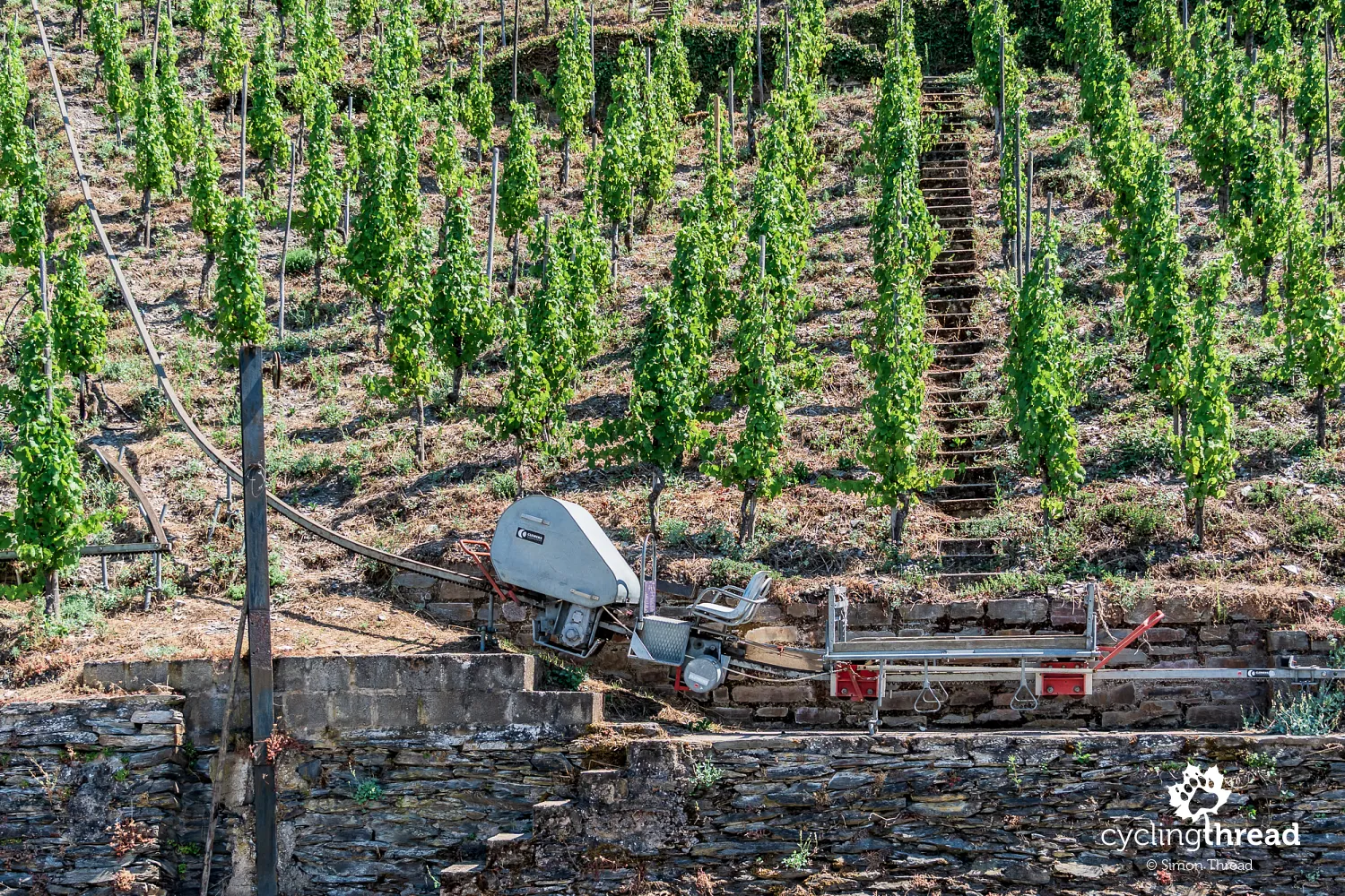 A monorail on the steep vineyard slopes