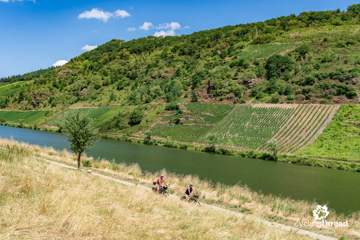 Mosel-Radweg - Moselle Cycle Route