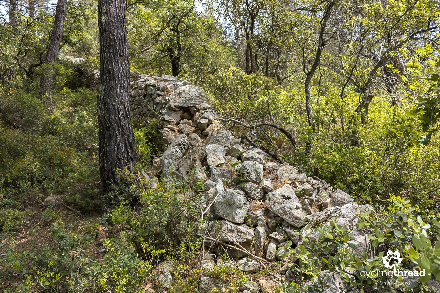The plague wall near Cabrières-d'Avignon