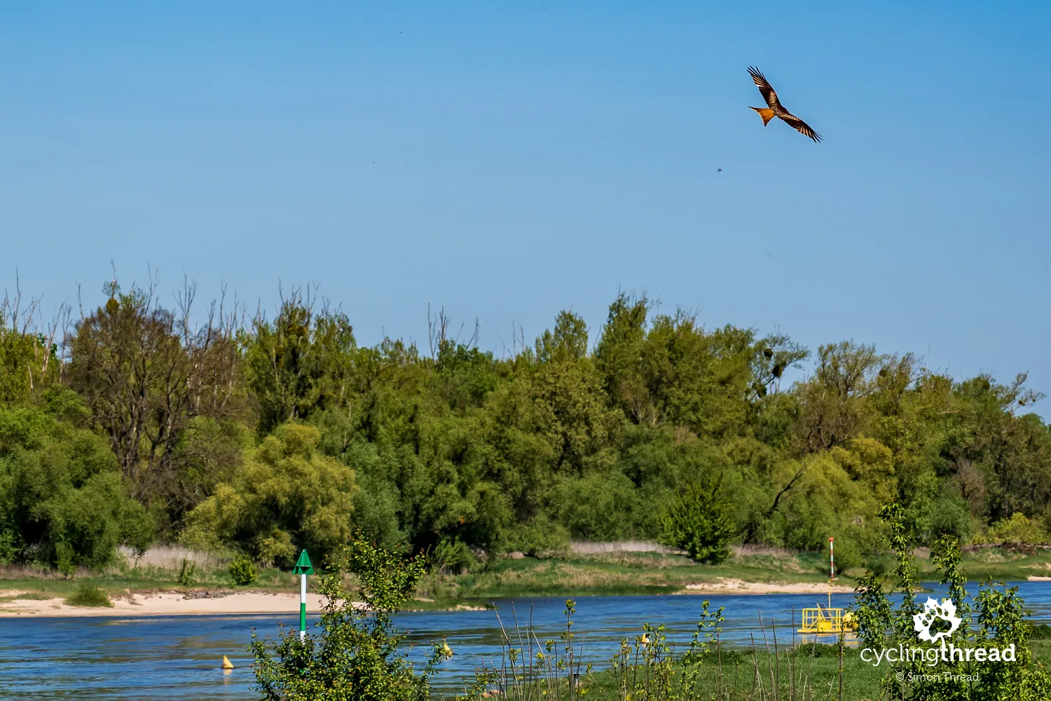 The red kite over the Elbe