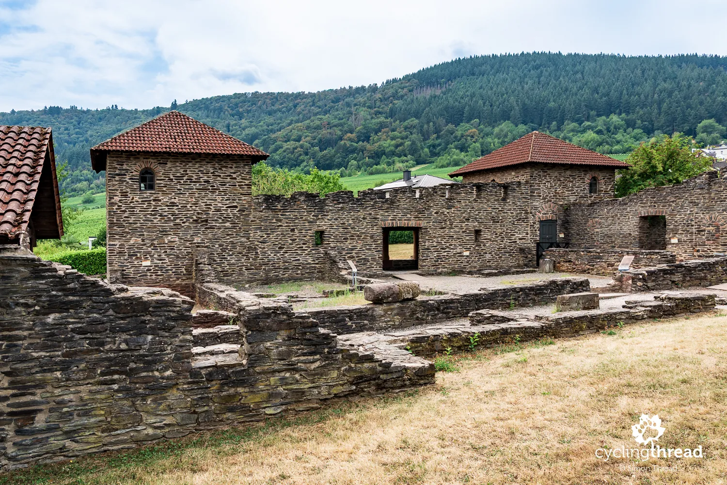 A Roman villa above Mehring