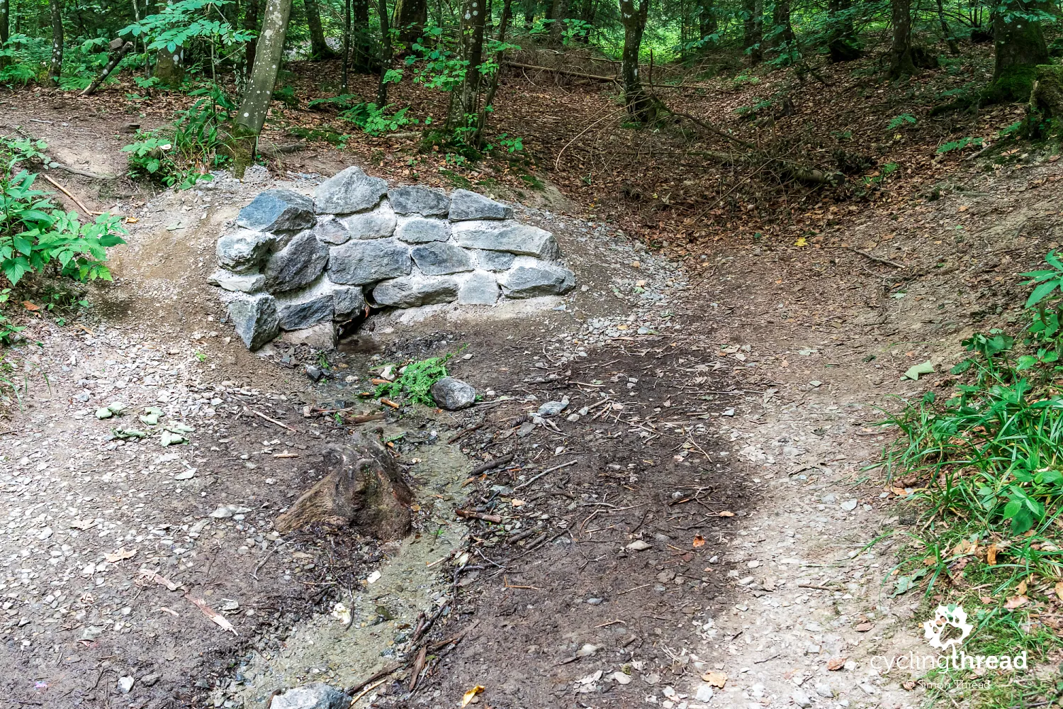 The Ruhr's source near Winterberg