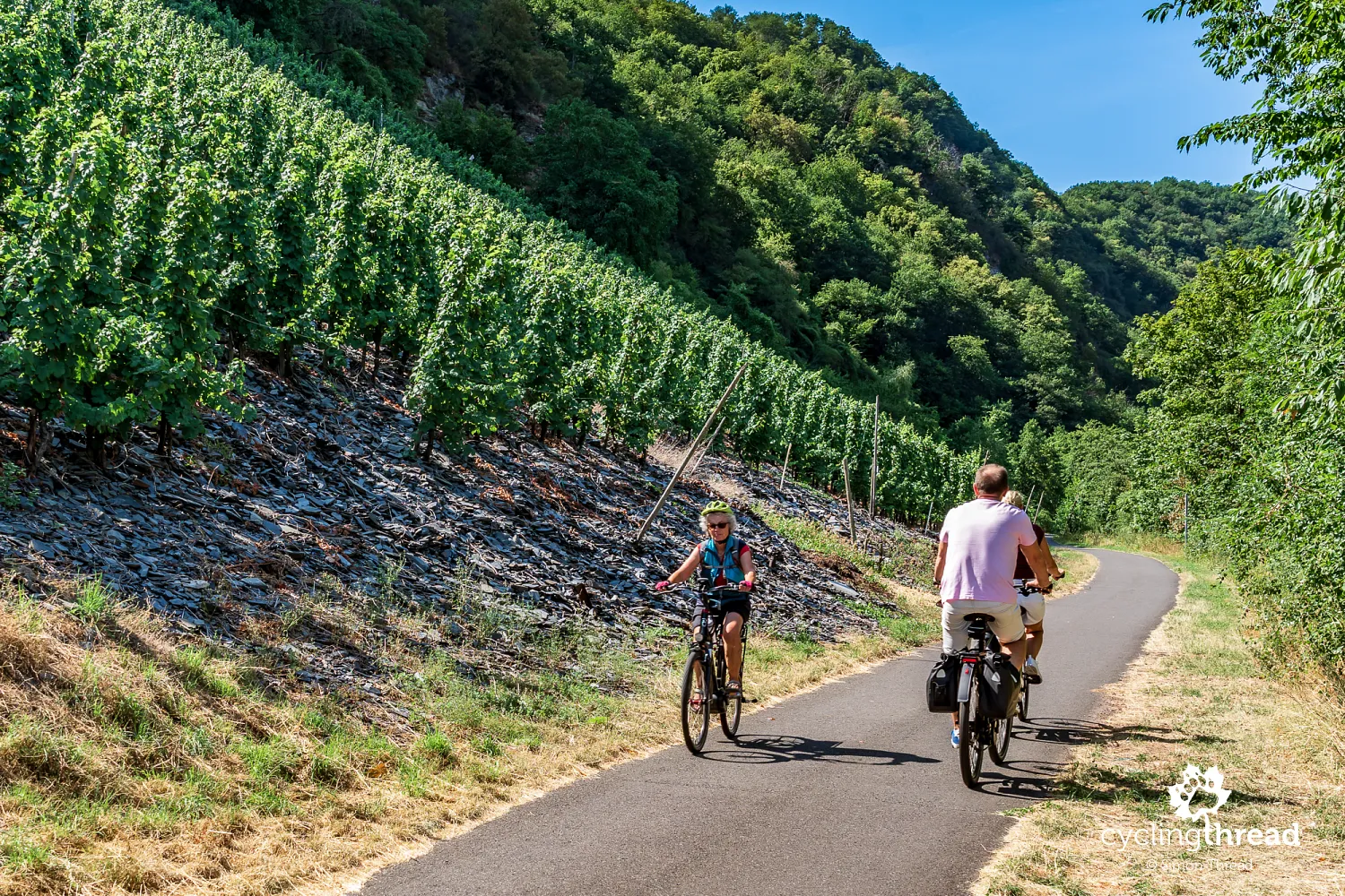 Slate soils in the vineyards near Wolf