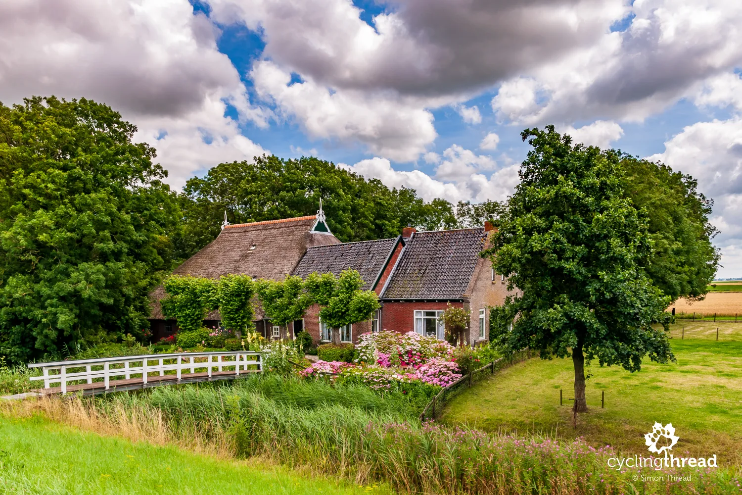 Typical farm in Friesland