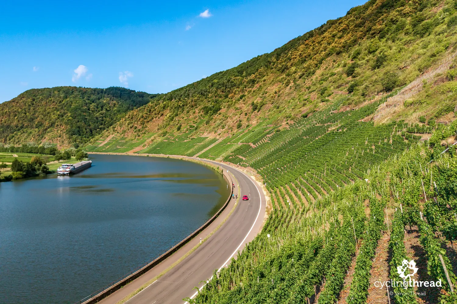 A vineyard like the stands of a huge stadium
