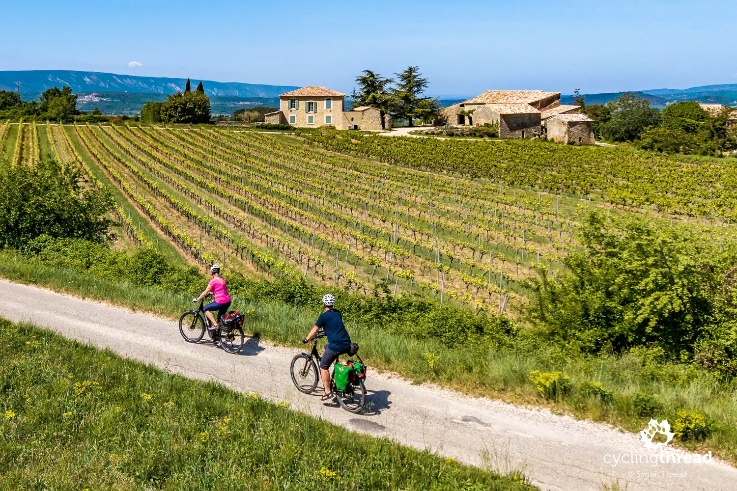 A vineyard near Bonnieux in the Luberon