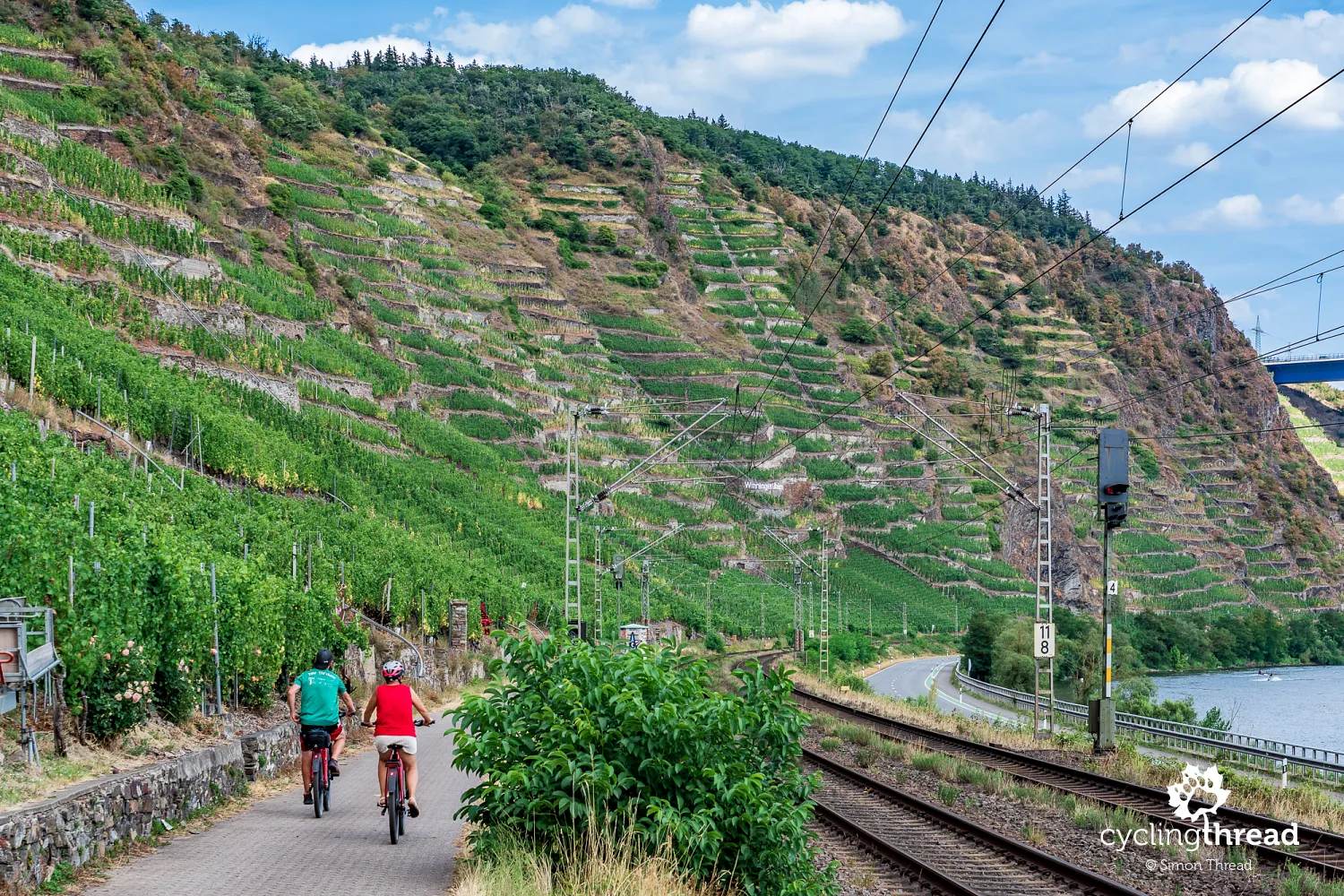 The vineyards around Winningen