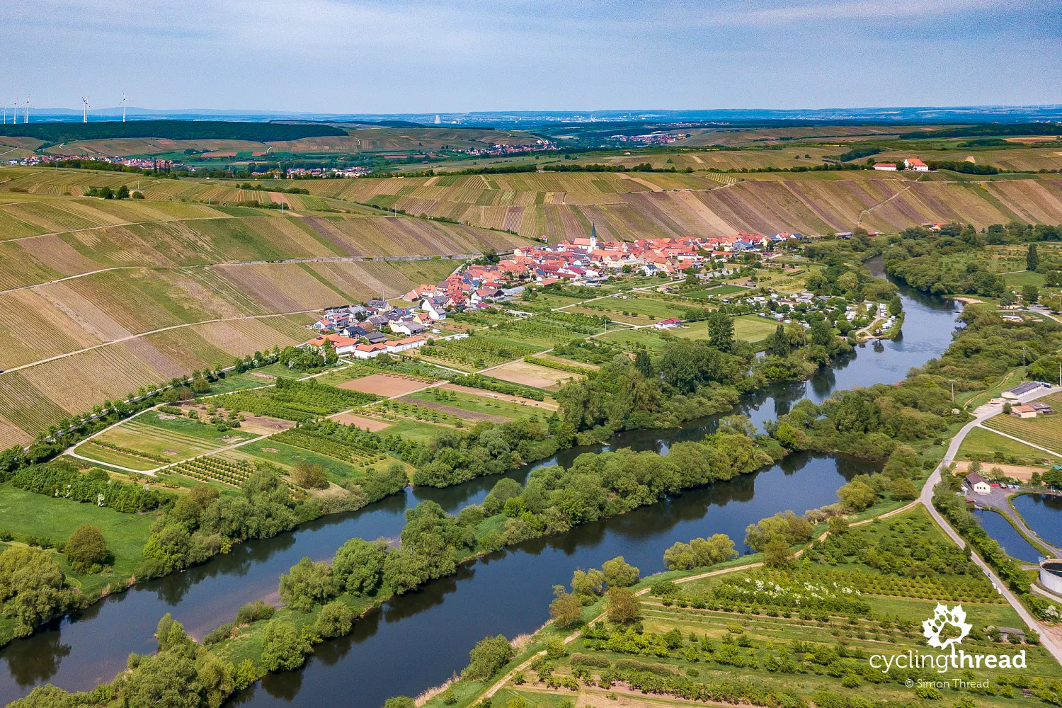 Vineyards in the Main Valley