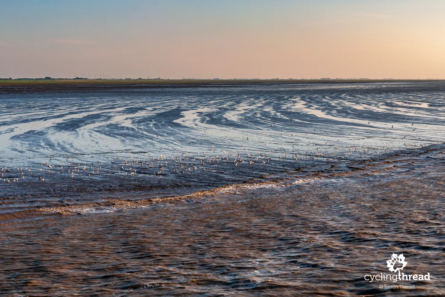 The Wadden Sea at shallow water