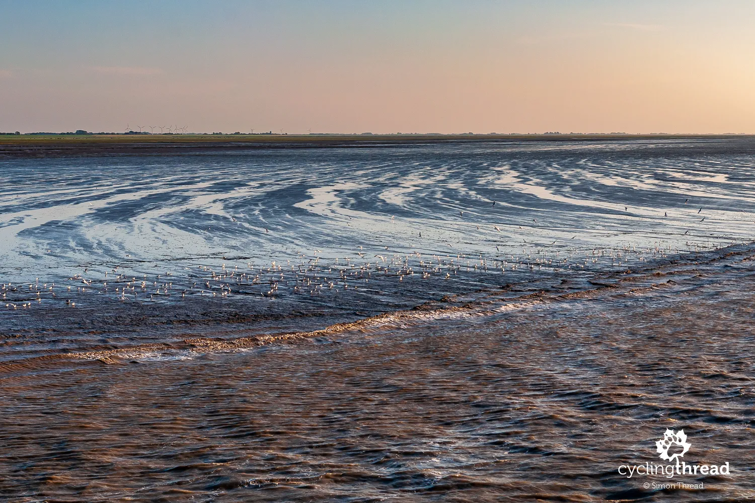 The Wadden Sea at shallow water