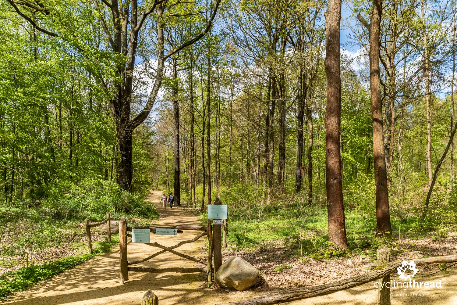 Waldfriedhof Marienberg forest cemetery