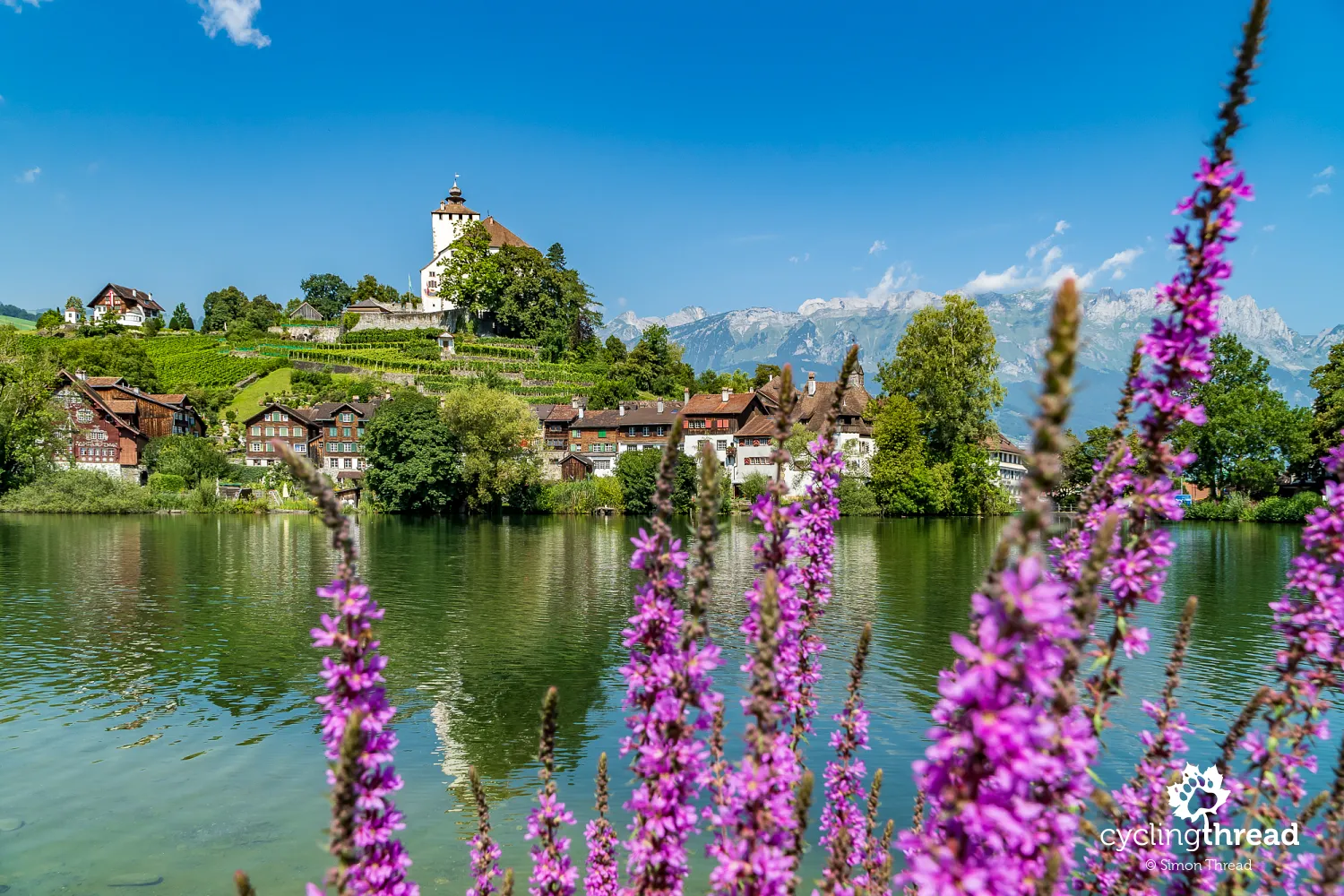 Werdenberg castle in the Rhine Valley