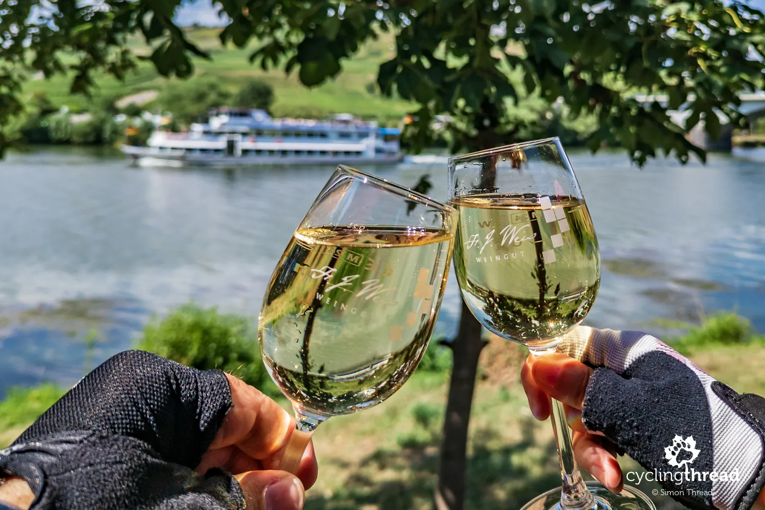 Wine tasting in Zell on the Moselle