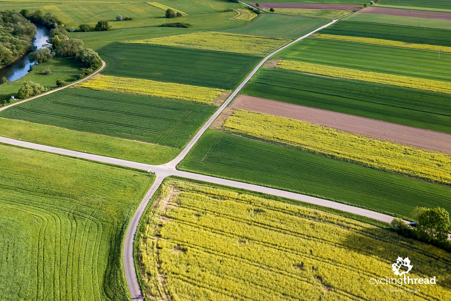 Yellow-green Franconia in the Main Valley