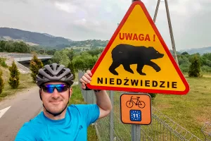 Beware of bears in the Beskid Sądecki mountains