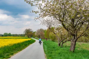 Bike-only route in Brandenburg - a path exclusively for cyclists